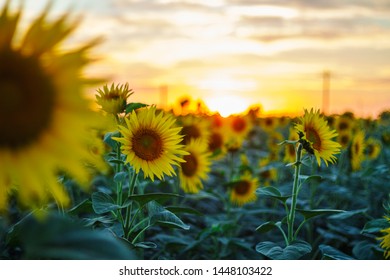 澳门贵宾厅网站最新优惠与安全评测全指南