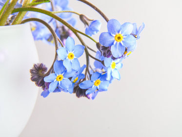 769开奖号最新公布结果与中奖详情分析