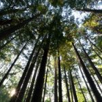 778800开奖结果最新公布,今日中奖号码全面揭晓 k553mqeuol