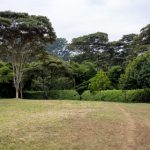 澳门金沙集团娱乐:探索奢华与娱乐的完美结合 mi7higgc