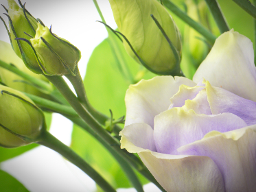 7769开奖结果最新公布，速来查看幸运号码！