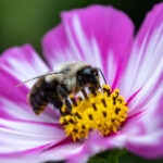 NBA手机高清直播:随时随地观看精彩篮球赛事视频 3h4l4ef7x